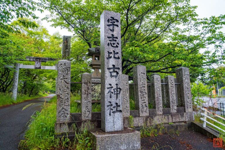 宇志比古神社（鳴門市大麻町大谷山田） たんぽぽろぐ